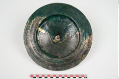 Foto von Bronzephalere (NHMW-PRAE-025835)